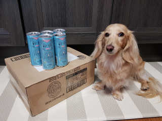 일화 소주와환상궁합 세계 3대 광천수로만든 초정토닉워터 — 5점을 준 리뷰어가 2020년 5월 올린 사용 사진