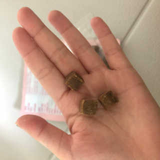 My Pet Care 천연단백질 관절건강에 개좋아 — 5점을 준 리뷰어가 2020년 12월 올린 사용 사진