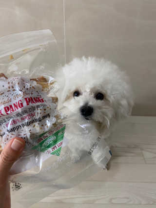 때나님이 올린 리뷰 사진 1