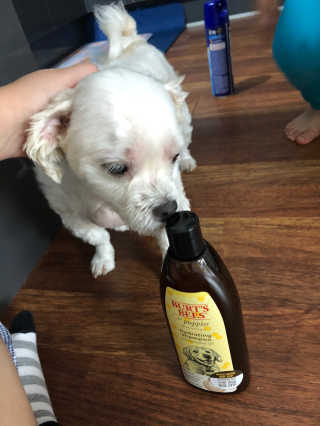 쫑쫑님이 올린 리뷰 사진 2