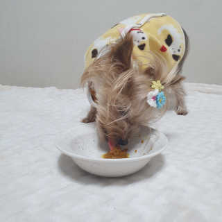 솜희님이 올린 리뷰 사진 4