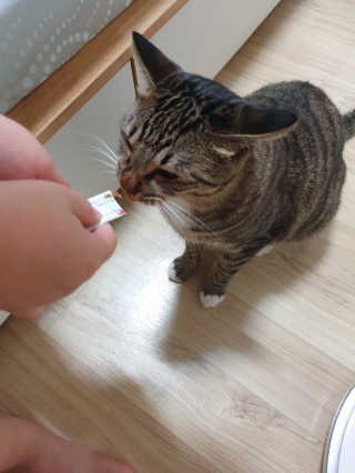 BoRaJin님이 올린 리뷰 사진 3