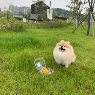 이하린님이 올린 리뷰 사진 3