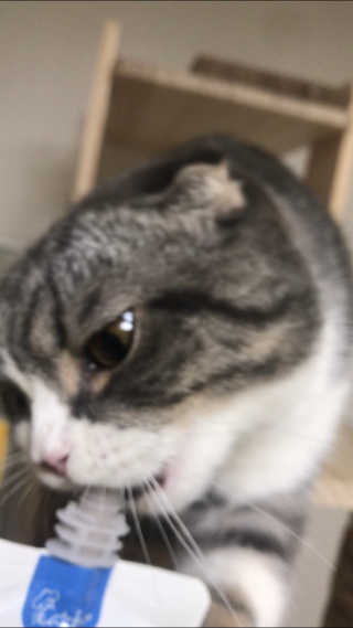 효성님이 올린 리뷰 사진 2