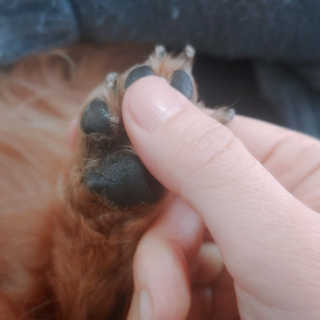 benny님이 올린 리뷰 사진 3