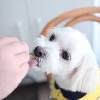 양양님이 올린 리뷰 사진 3