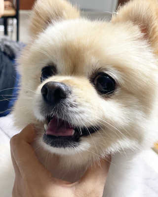 코랑이님이 올린 리뷰 사진 1