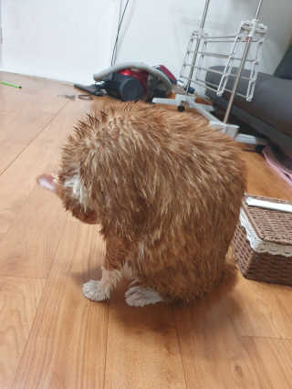 뿌엑이님이 올린 리뷰 사진 1