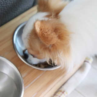 황블리님이 올린 리뷰 사진 4