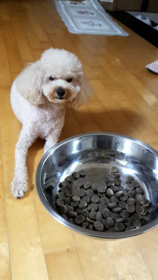 모찌단추님이 올린 리뷰 사진 1
