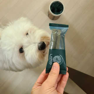 [푸디웜] 라포그 코어덴탈츄 그린 (10개입) — 5점을 준 리뷰어가 2020년 9월 올린 사용 사진