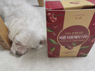 ejejejluv님이 올린 리뷰 사진 1