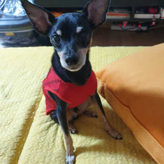 임토리님이 올린 리뷰 사진 4