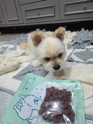 My Pet Care 천연단백질 눈건강에 개좋아 — 4점을 준 리뷰어가 2020년 11월 올린 사용 사진