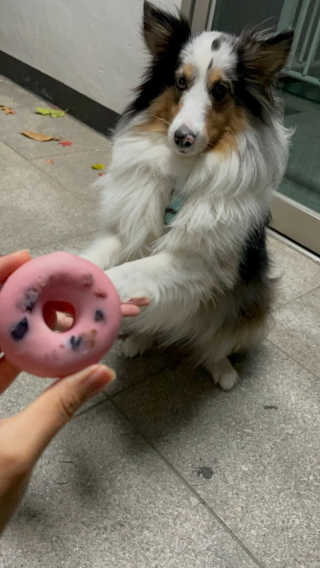 휘영청님이 올린 리뷰 사진 2