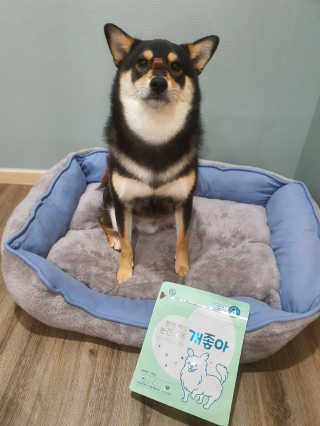 My Pet Care 천연단백질 눈건강에 개좋아 — 5점을 준 리뷰어가 2020년 11월 올린 사용 사진
