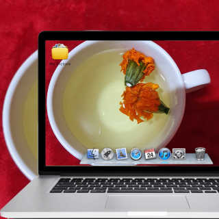 통통이님이 올린 리뷰 사진 2