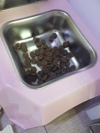 둥가둥가우리도도님이 올린 리뷰 사진 3