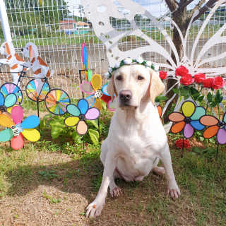Lilly❤️님이 올린 리뷰 사진 2