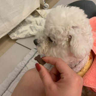 쪄니호잇님이 올린 리뷰 사진 2