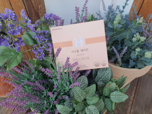 이너풀 에이치 리뷰 사진