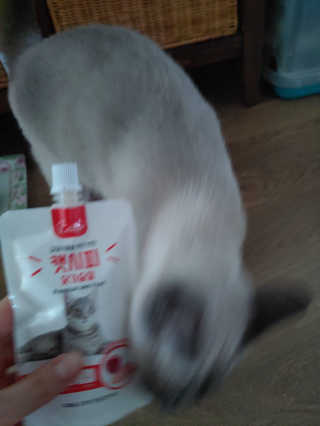 만만이집사님이 올린 리뷰 사진 2