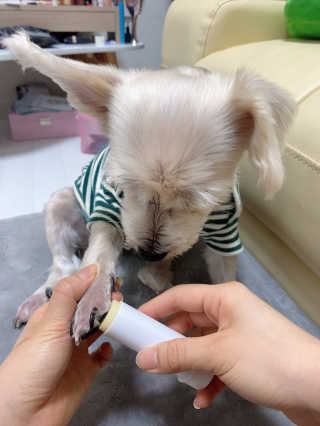 다운당님이 올린 리뷰 사진 2