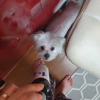 포비맘님이 올린 리뷰 사진 4