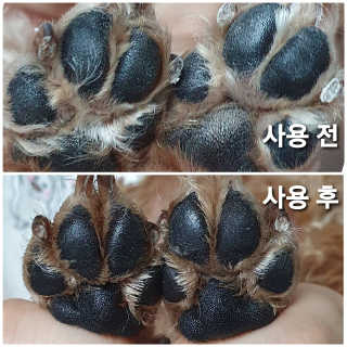 [레드허니밤]자유펫 고양이 강아지 발바닥 밤 14g — 5점을 준 리뷰어가 2020년 7월 올린 사용 사진