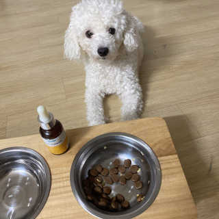 리뷰크러쉬님이 올린 리뷰 사진 4