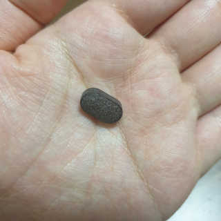 조은약초 꿀잠큐어 제주 감태추출물 감태정 600mg — 4점을 준 리뷰어가 2020년 5월 올린 사용 사진