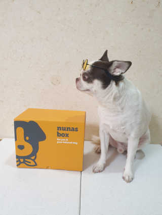 mini unni님이 올린 리뷰 사진 2