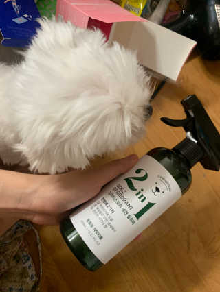 강아지스토리 2in1 강아지 애견 탈취제 400ml — 4.5점을 준 리뷰어가 2020년 5월 올린 사용 사진