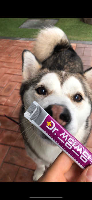 하시모님이 올린 리뷰 사진 1