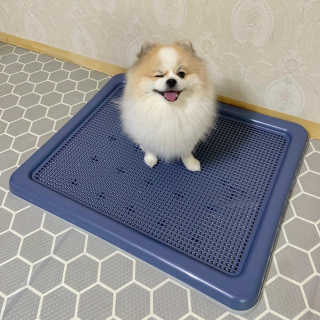 오아희님이 올린 리뷰 사진 2