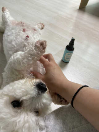 코지독 카밍스프레이 100ml — 5점을 준 리뷰어가 2020년 6월 올린 사용 사진