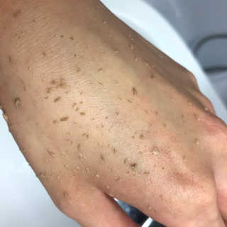 yeglina님이 올린 리뷰 사진 3