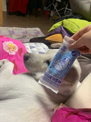 choiyeji님이 올린 리뷰 사진 1