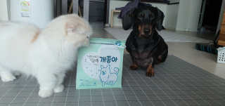 My Pet Care 천연단백질 눈건강에 개좋아 — 5점을 준 리뷰어가 2020년 11월 올린 사용 사진