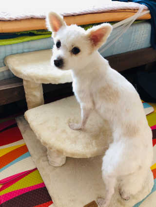 Lily님이 올린 리뷰 사진 1