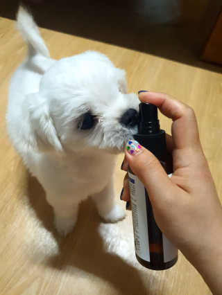 미진냥님이 올린 리뷰 사진 1