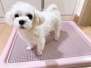쓸언니님이 올린 리뷰 사진 2