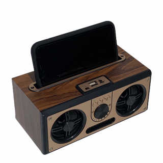 SEVIZ RETRO20W 레트로 블루투스 스피커 — 5점을 준 리뷰어가 2020년 7월 올린 사용 사진