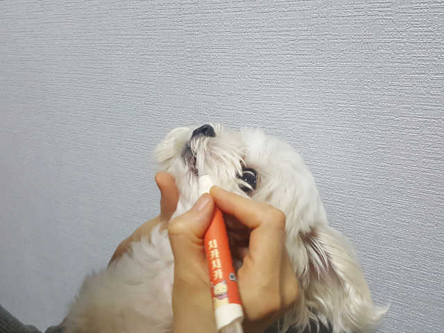 [5초양치] 멍.치카펜 리뷰 사진