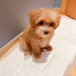 a_yom2님이 올린 리뷰 사진 2