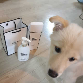 예민한 피부를 위한 코코몰리 All in one 자연유래 샴푸 — 5점을 준 리뷰어가 2020년 7월 올린 사용 사진