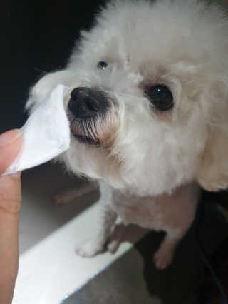 인아지아맘님이 올린 리뷰 사진 2