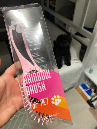 아이캔디 레인보우 볼륨S  브러쉬 for PET 미디엄 — 5점을 준 리뷰어가 2020년 12월 올린 사용 사진