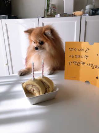 itsnotsobad님이 올린 리뷰 사진 1