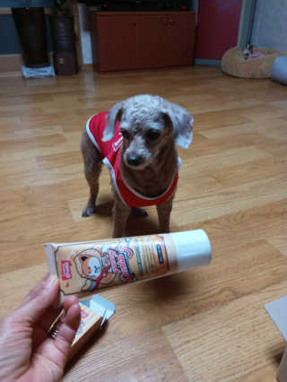 쪼꼬사랑이언니님이 올린 리뷰 사진 1